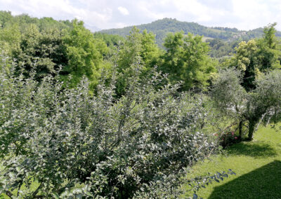 B&B Cyparus - www.cyparus.it - Le Camere - Il verde dalla terrazza