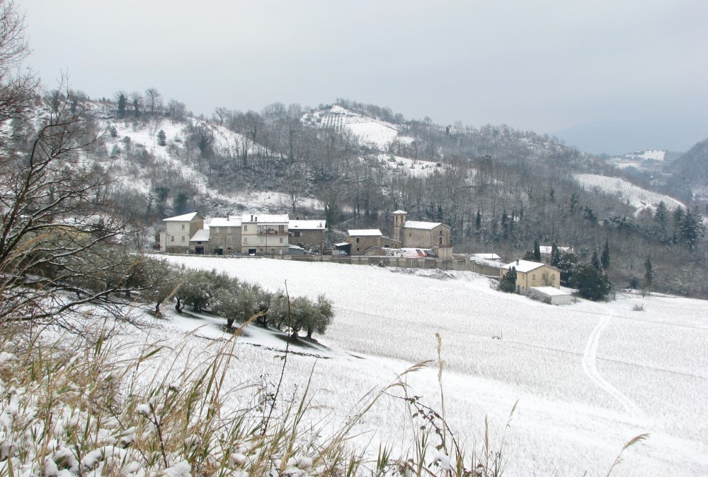 Le colline d’inverno e i nostri merli